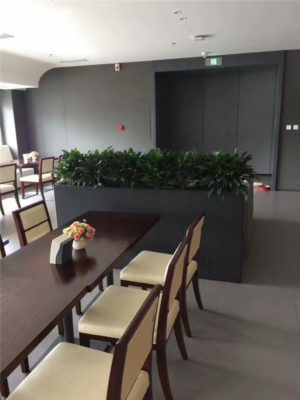 會(huì )議室綠植租擺