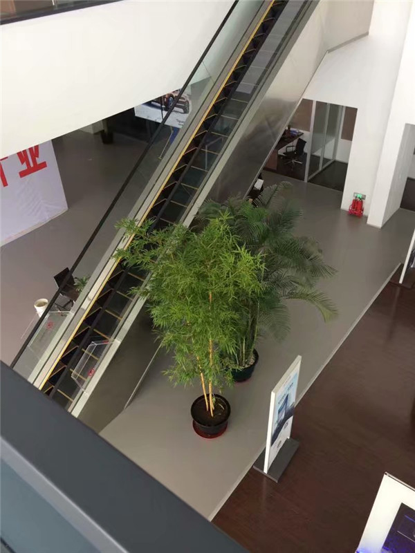 綠植租擺