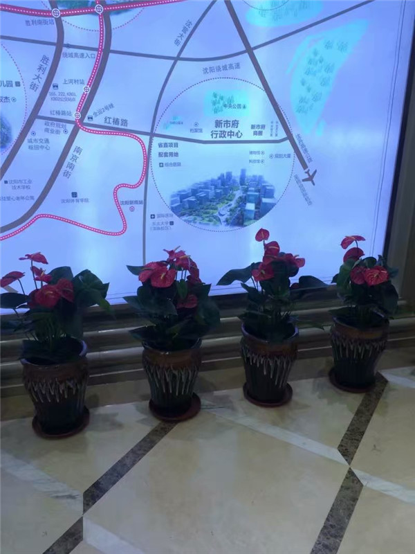 綠植租擺